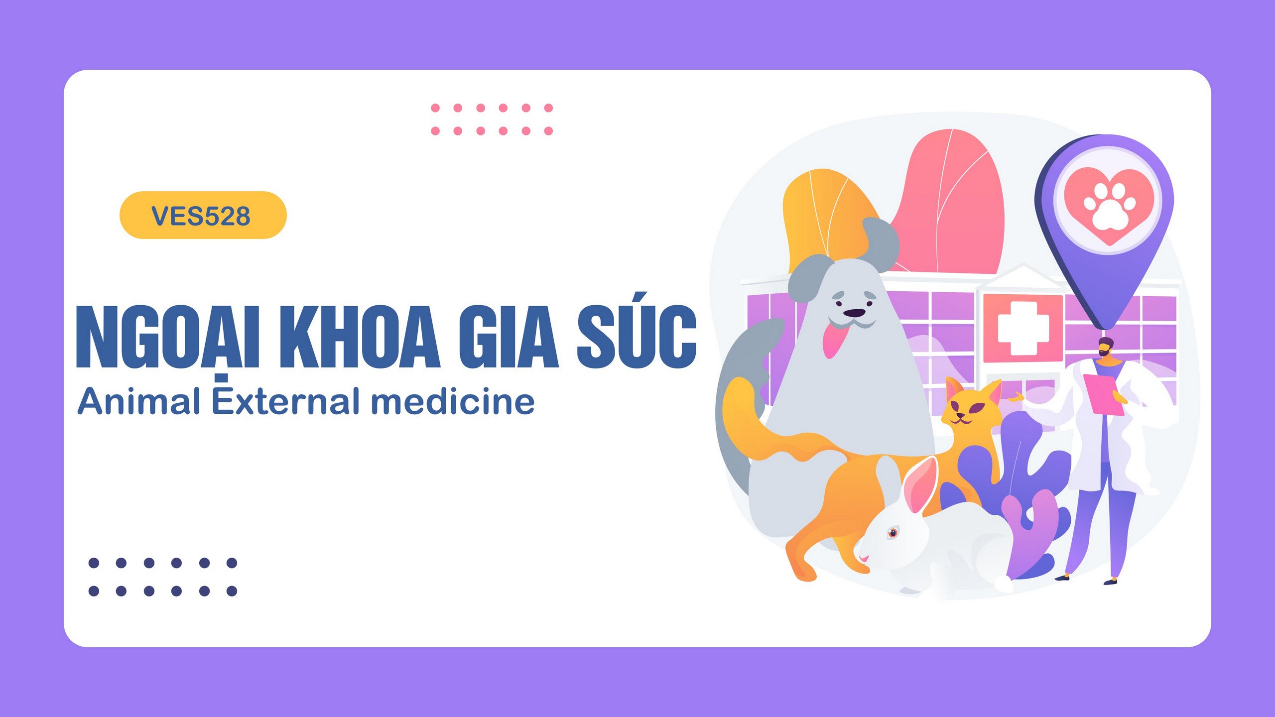 Ngoại khoa gia súc