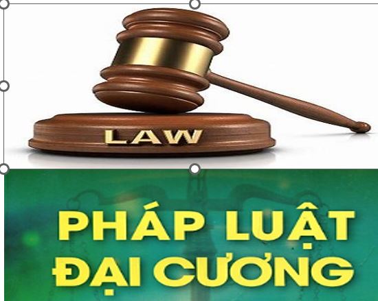 Pháp luật đại cương  (NH2)