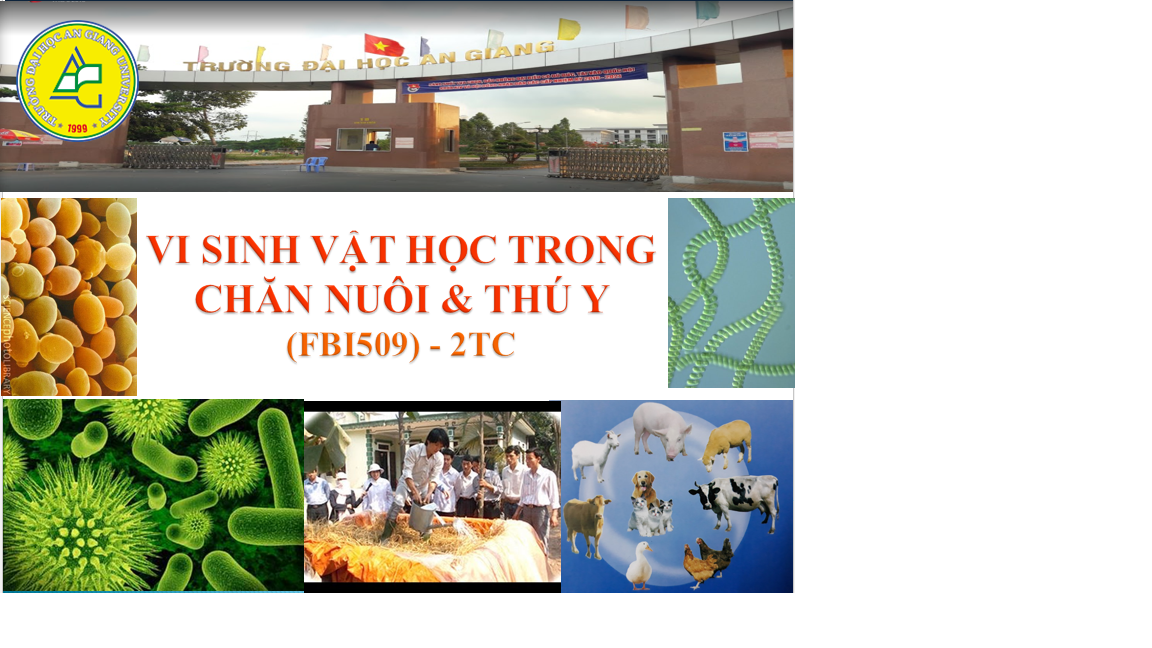 VI SINH VẬT TRONG CHĂN NUÔI & THÚ Y