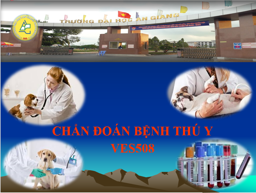 Chẩn đoán bệnh thú y 